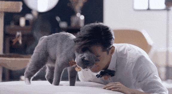 疫情中的替代性创伤,疫情替代性创伤