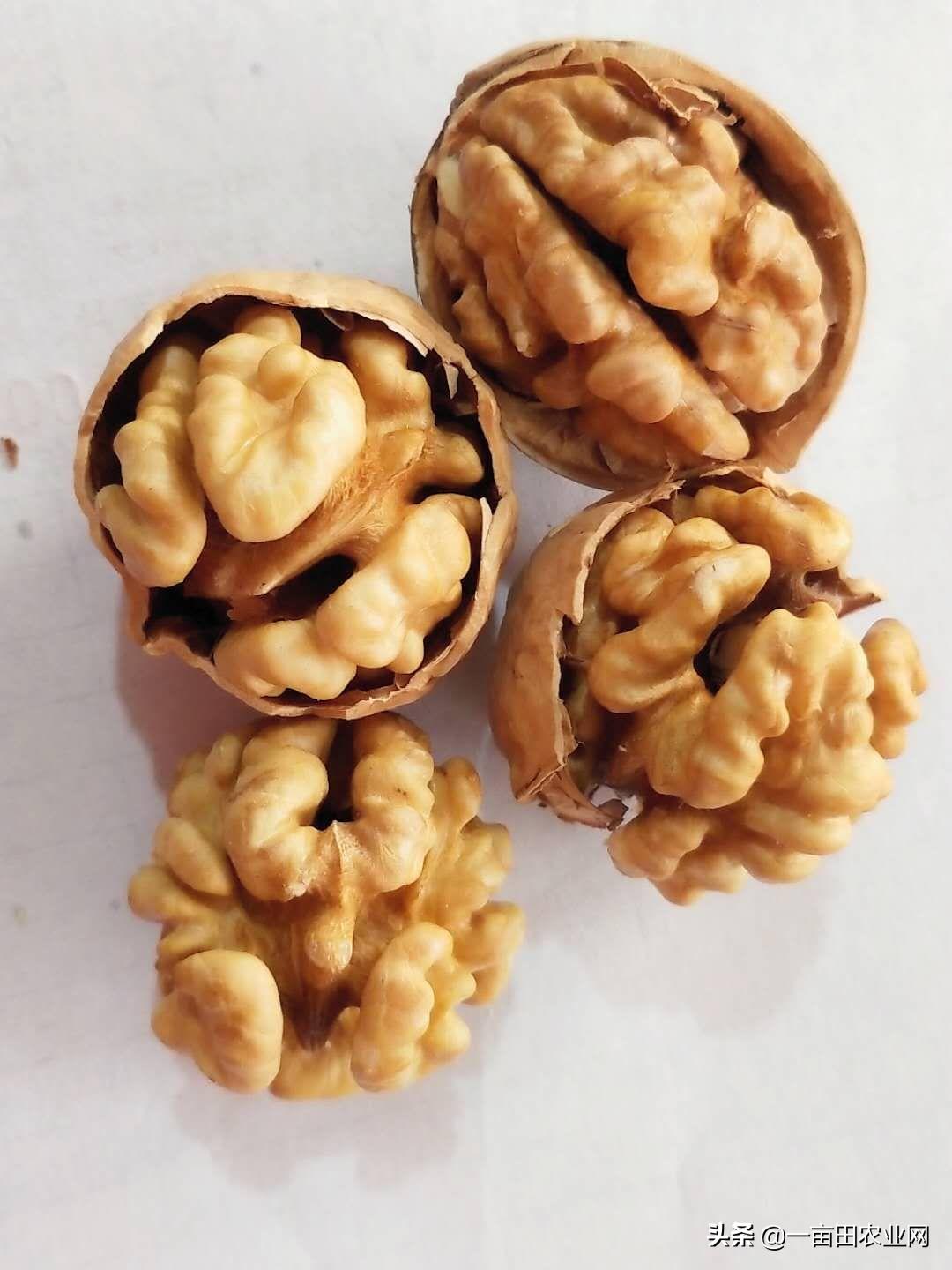 摆摊卖坚果月入2万,卖坚果的利润有多高