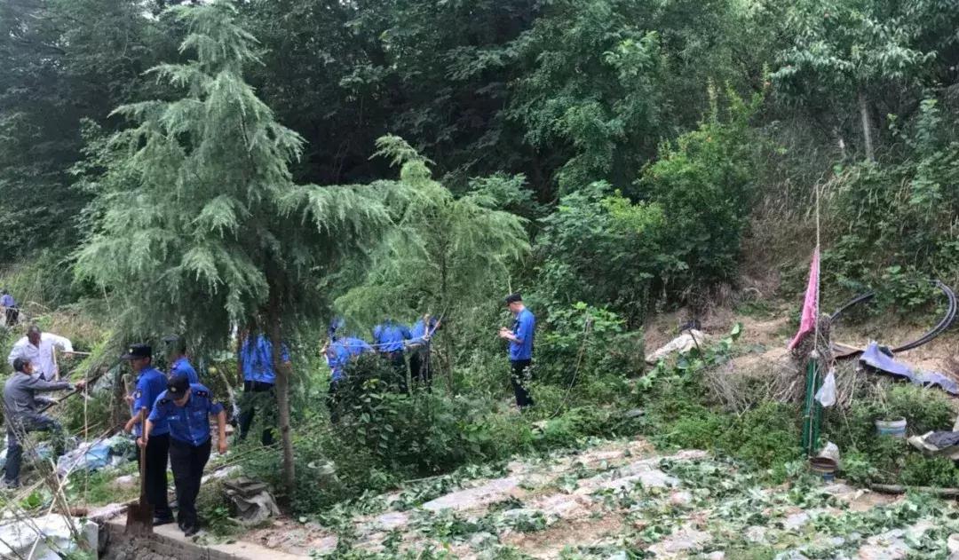 栖霞公路环境整治,栖霞市综合治理