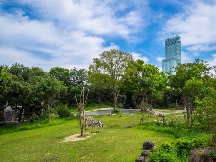 大阪府心斋桥,日本大阪心斋桥最繁华之地