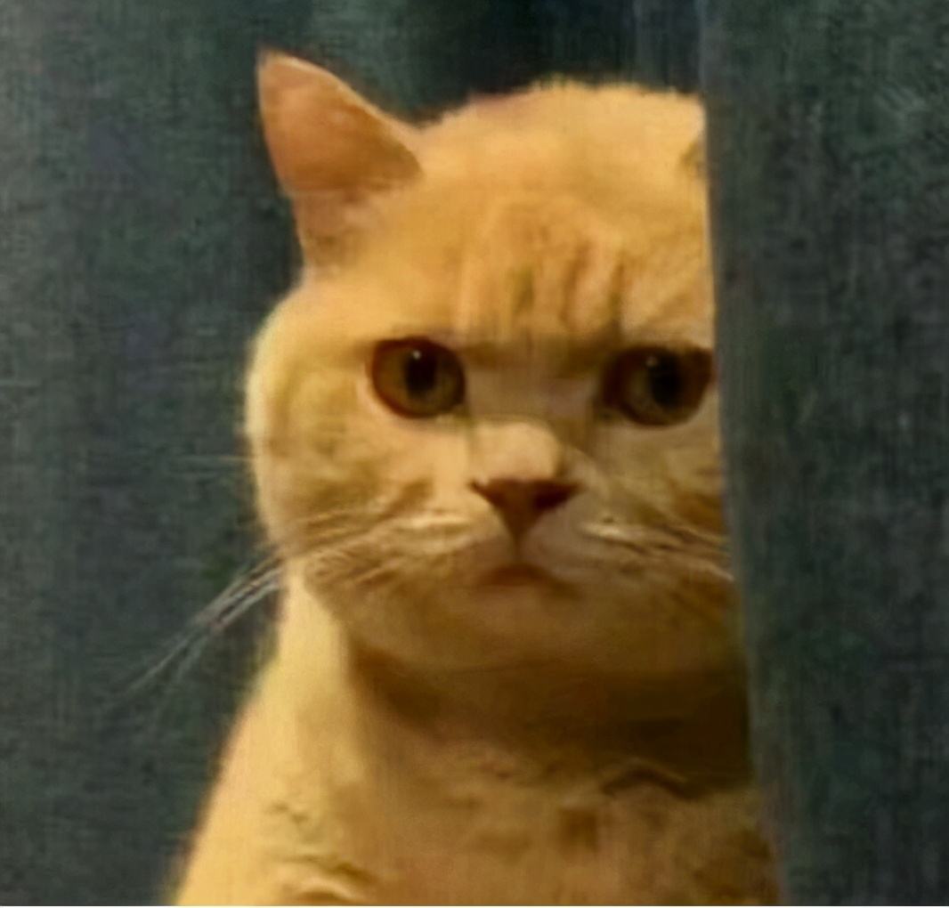 无版权免费的图片素材网站国内,免费高清图片网站有哪些