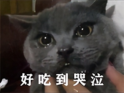 流泪猫猫头,流泪猫猫头抱小熊