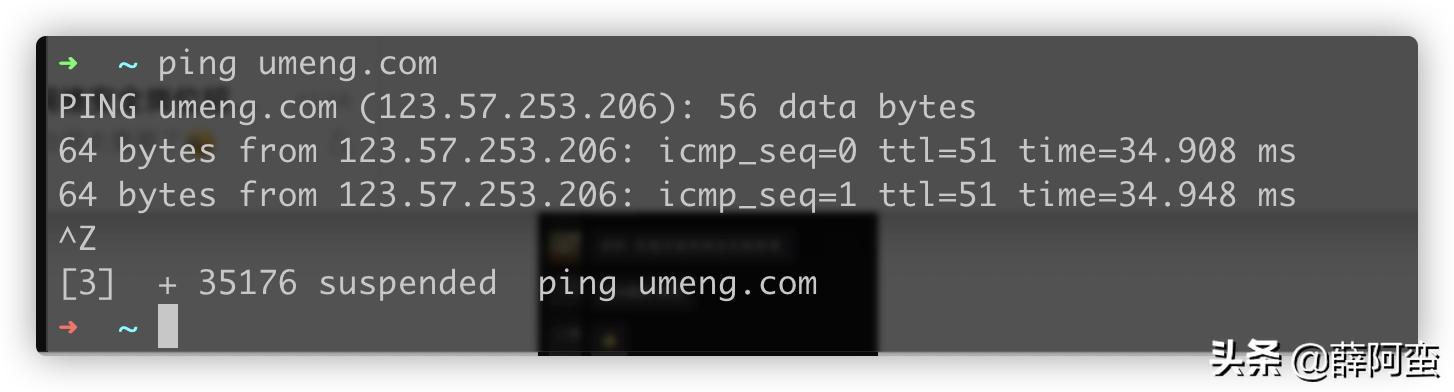 mac下搭建lnmp平台,mac下如何运行windows的exe