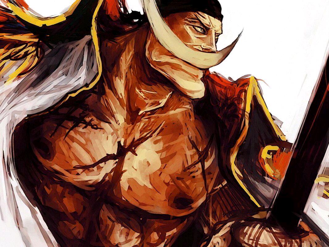 海贼王卡普大将,海贼王海军大将卡普