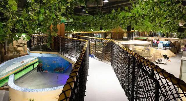 深圳暑假值得带孩子旅游的地方,深圳十大暑假室内必去景点