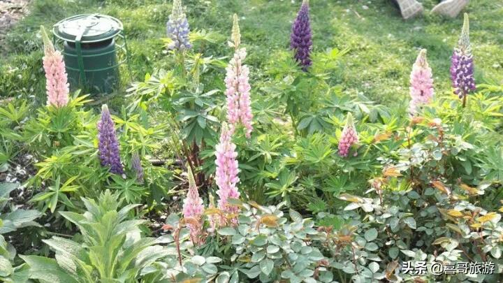 上海城隍庙豫园全部风景,上海除了城隍庙还有哪里好玩