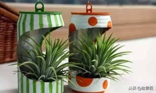 废物改造花盆绿植,旧物改造吊兰花盆