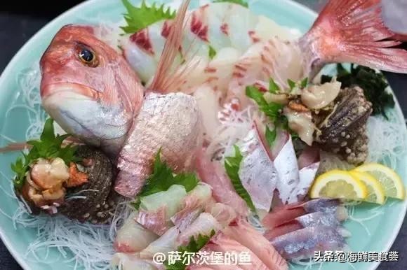 32种经典寿司做法视频,寿司常用的鱼