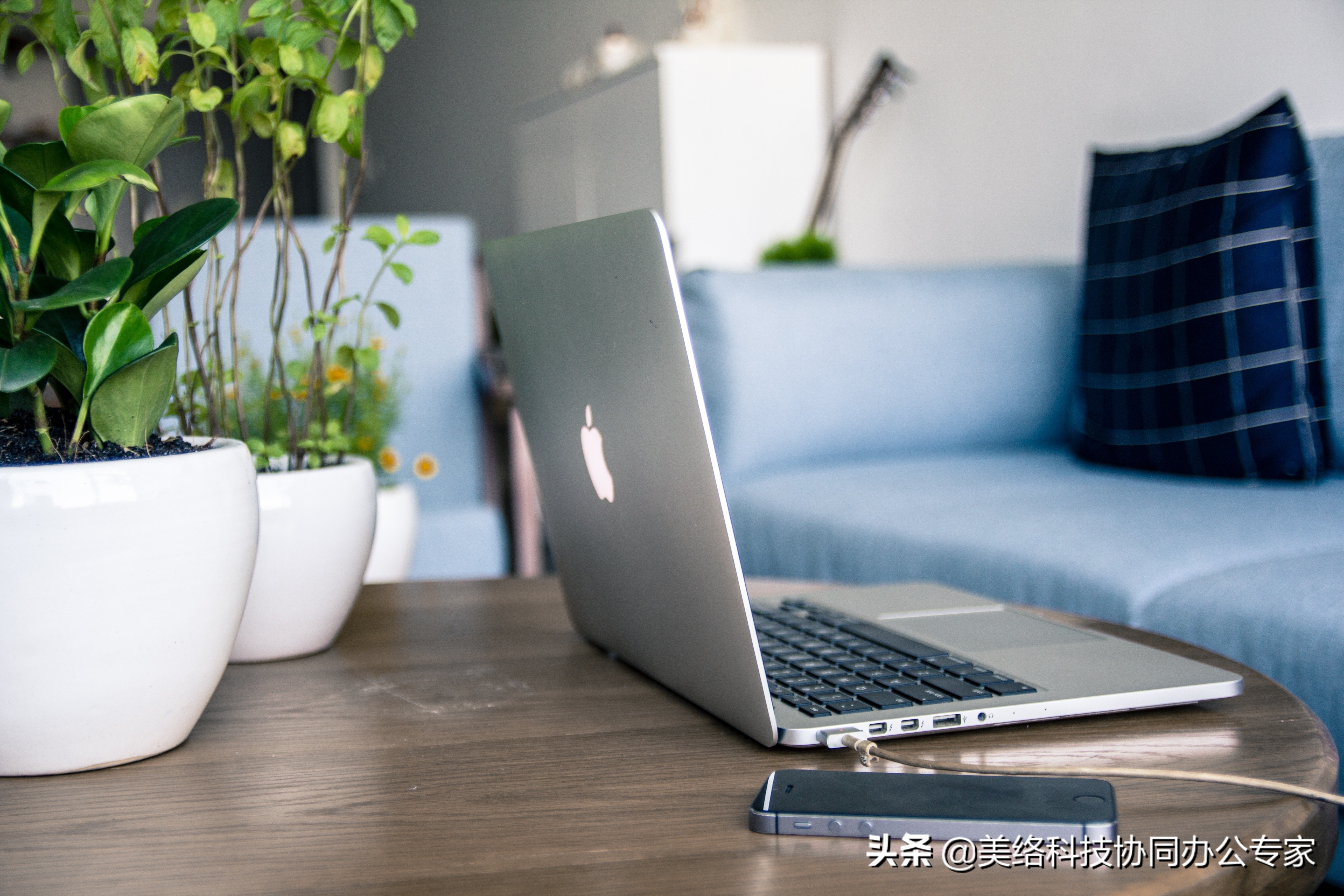 财务管理作用案例,财务系统在运用中的成效及问题