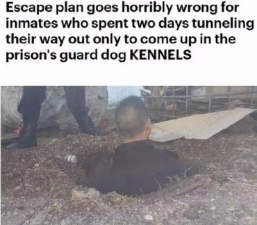 所有人注意咯，年末沙雕新闻来喽！小狗尿尿屁股冻在了地上...