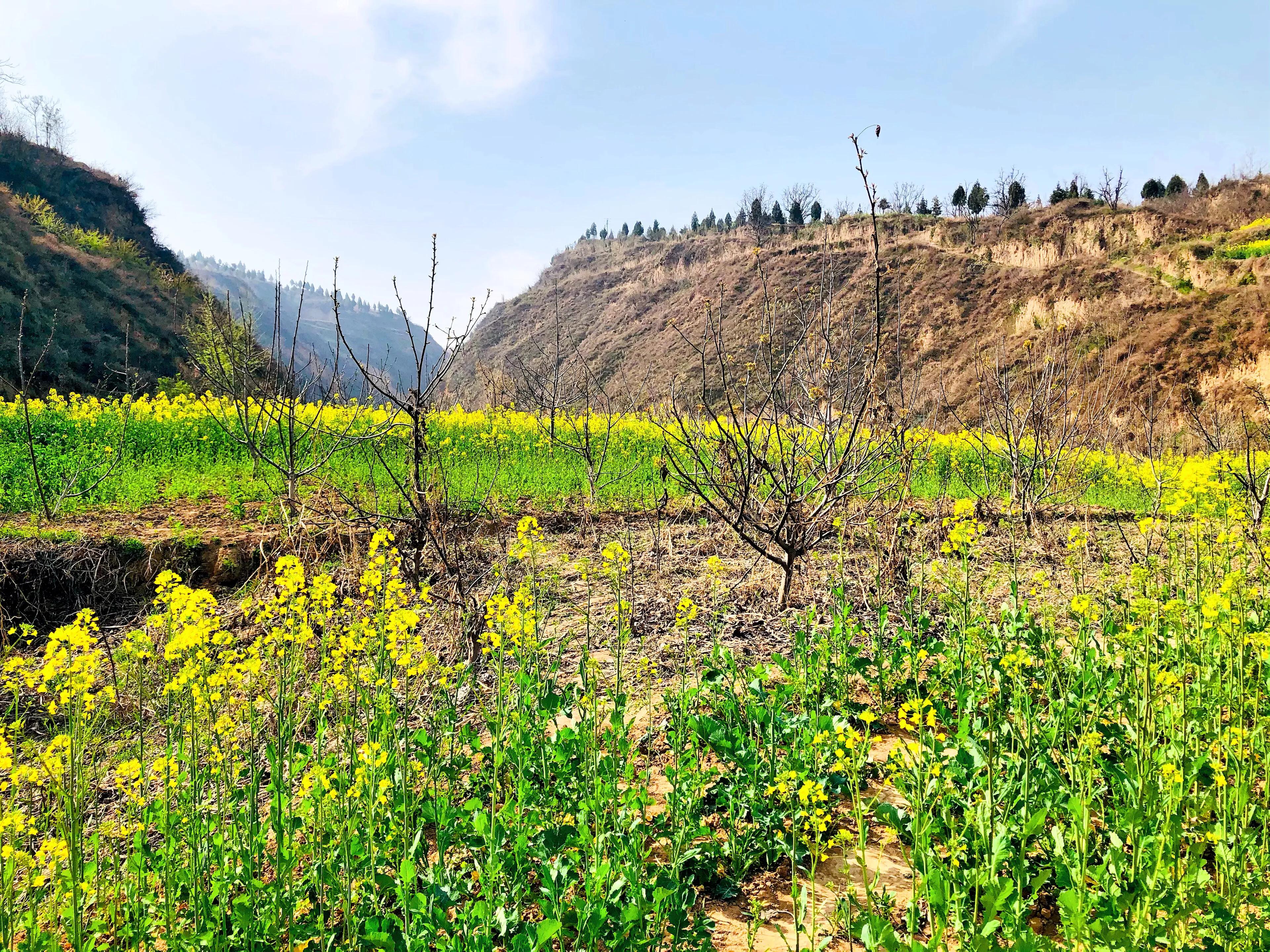 金塘半日游,白鹿原一日游攻略