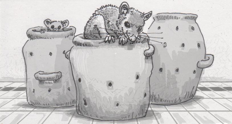 海狸尾巴汤,海狸尾巴与乌龟汤