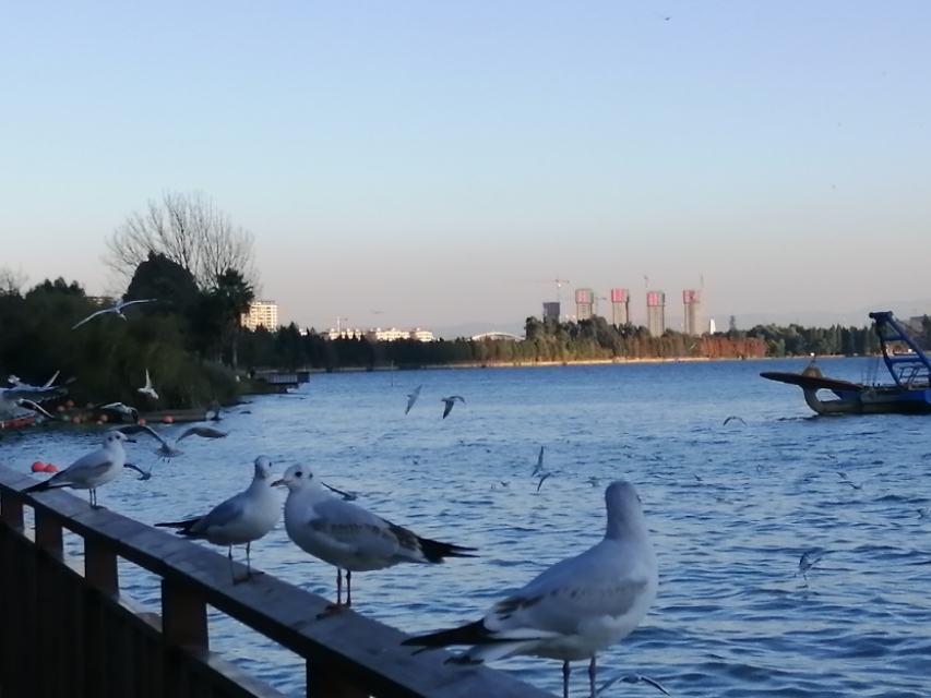 昆明旅游攻略必去景点有哪些地方,昆明旅游有哪些好地方和景点推荐