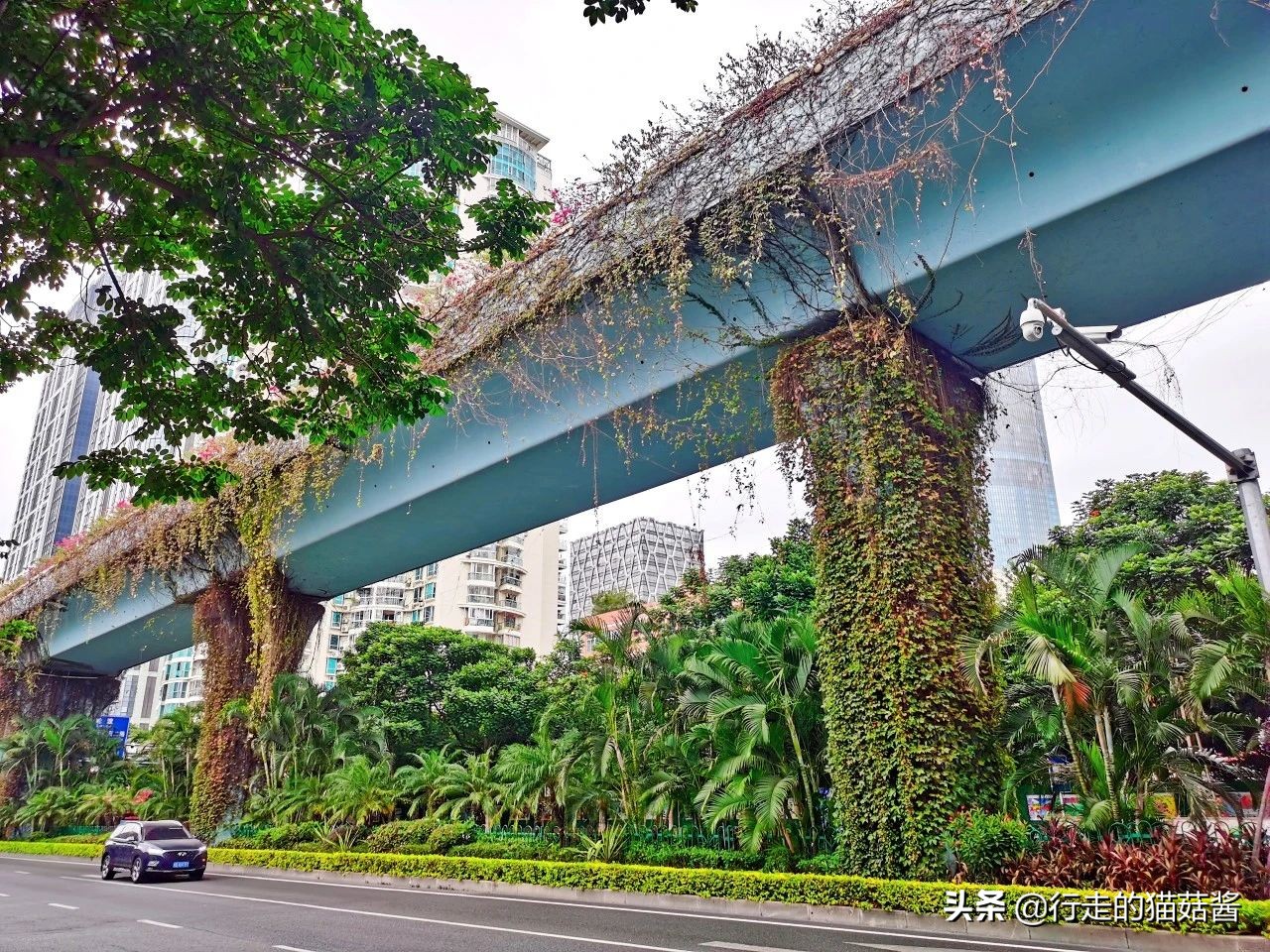 第一次去厦门必去攻略,去厦门的自由行攻略图文