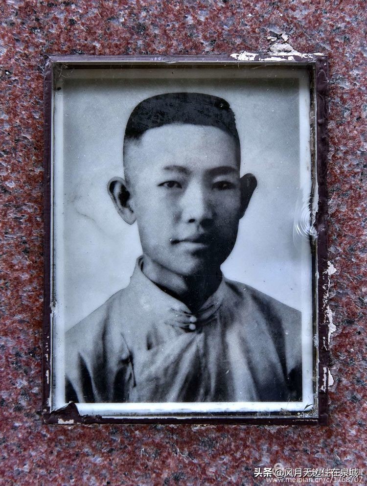 济南秋天的法国梧桐,济南一颗梧桐树