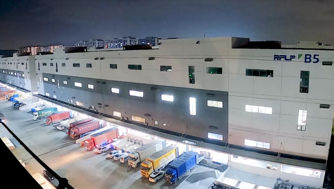 谁给辛巴下跪,谁和辛巴抗衡