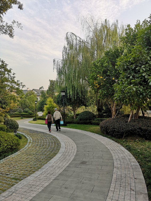 乌镇雅园养老的运营模式,乌镇雅园养老房值得购买吗