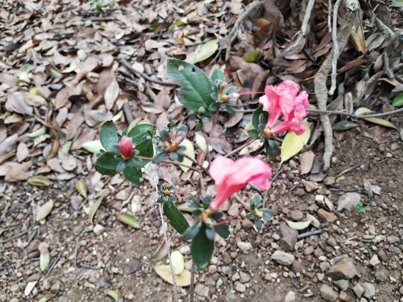 杭州市周末自驾游去哪里好玩,杭州出发周末旅游攻略