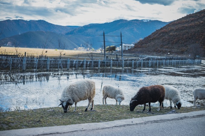 消失的地平线上的“香巴拉”和“女儿国”（二）