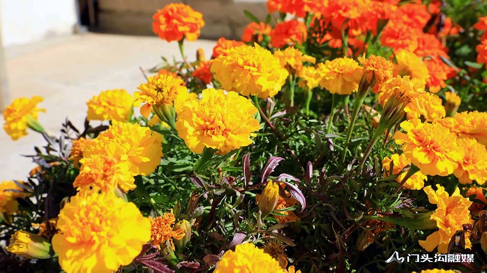 创城改善市容市貌提升城市形象,创城工作提升人居环境美篇