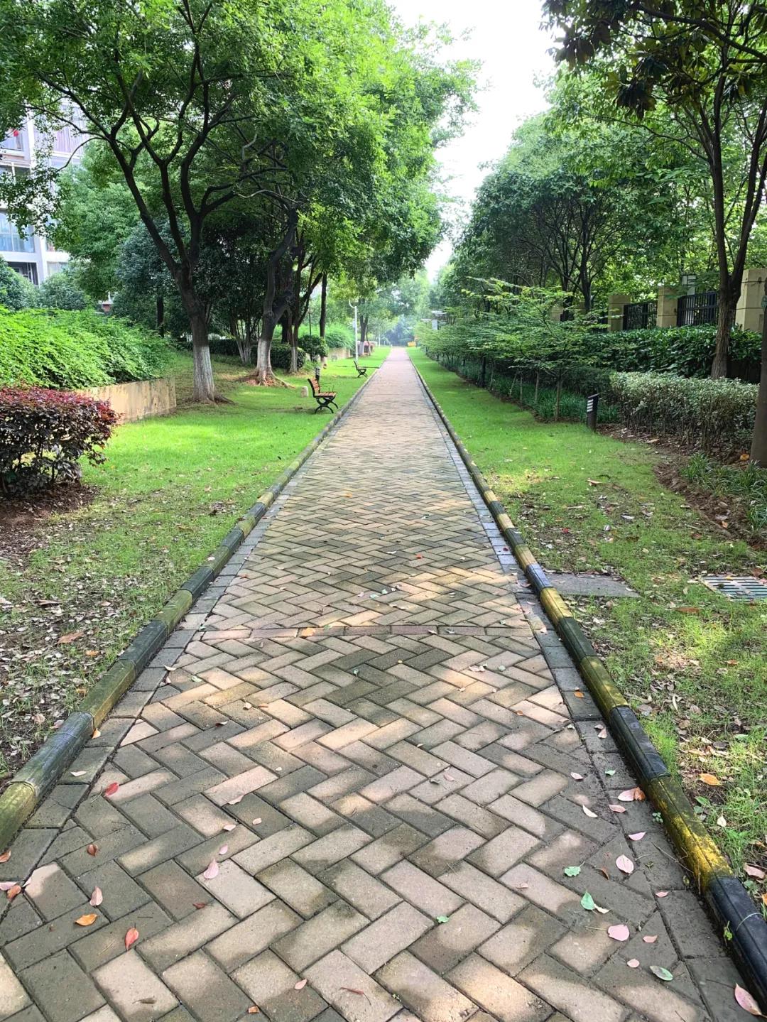 滨江豪宅升值空间多大啊,滨江豪宅案例