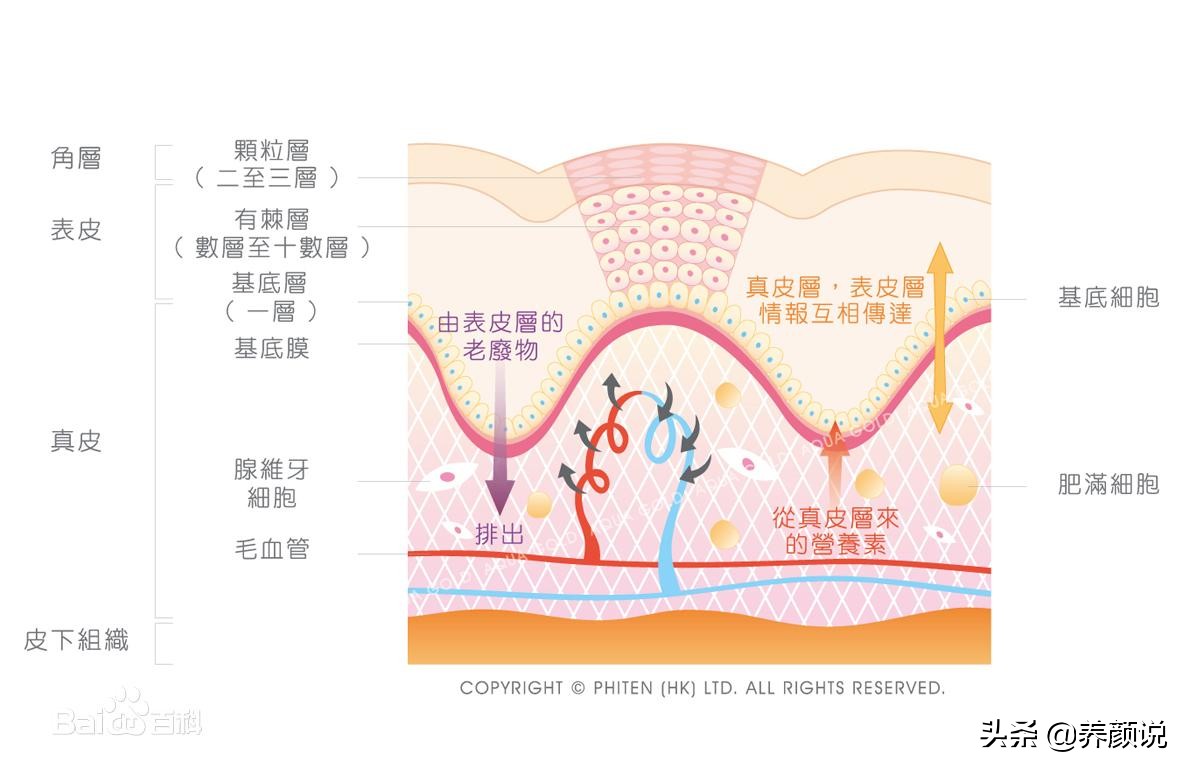 护肤品越用越多,肌肤状态急剧下滑,护肤品真的有效?