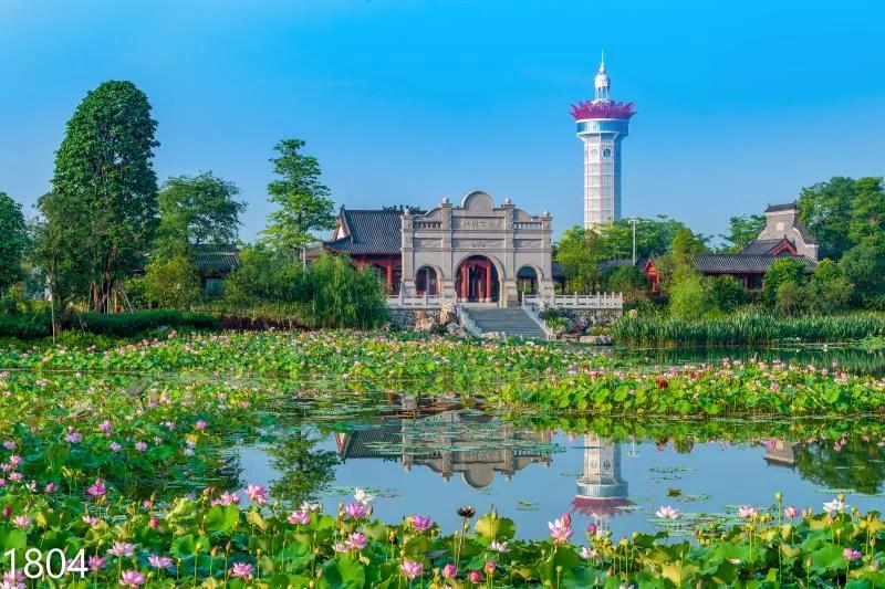 vr直播24小时,vr直播广西