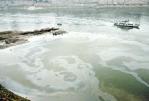 野钓的鱼有股汽油味要养多久,钓到河鱼有柴油味怎么处理