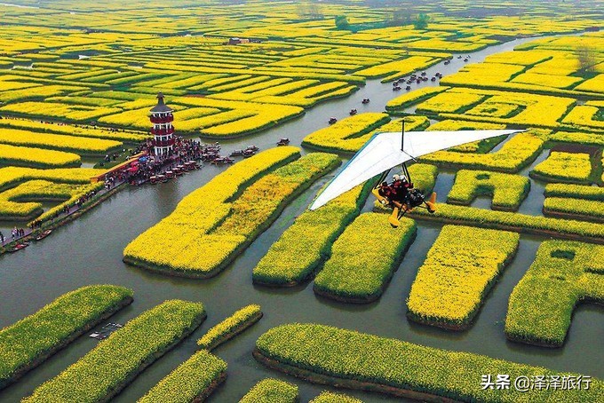 中国最美油菜花海汉中,中国最美油菜花海排名