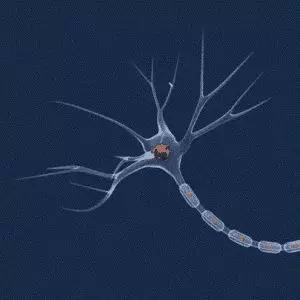 一个脑电波就能让大脑提高100%,听什么脑电波能快速集中注意力