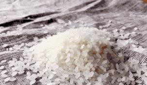 这是一篇关于寿司米的故事