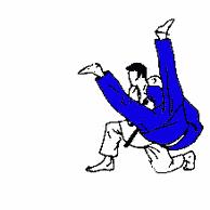 祖传绝招大全视频,祖传拳教学