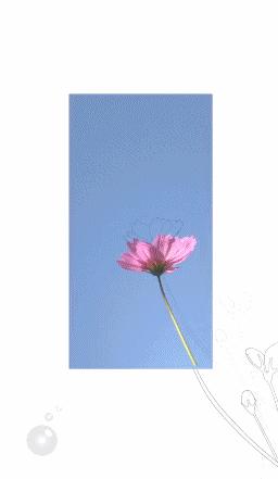 微信里最牛逼的人,微信里最牛的人