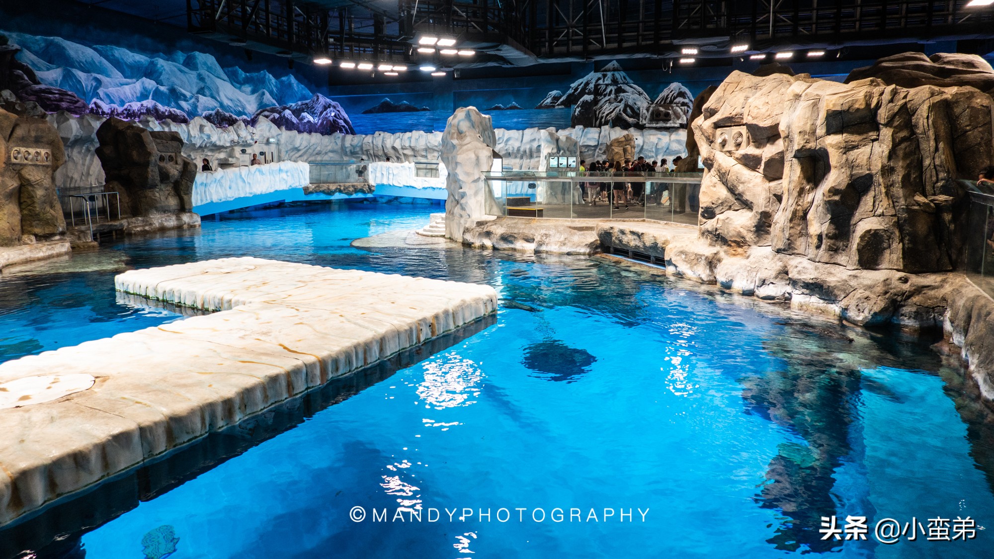 香港巡礼|是谁！敢拿水枪给20岁的海贼王庆生？