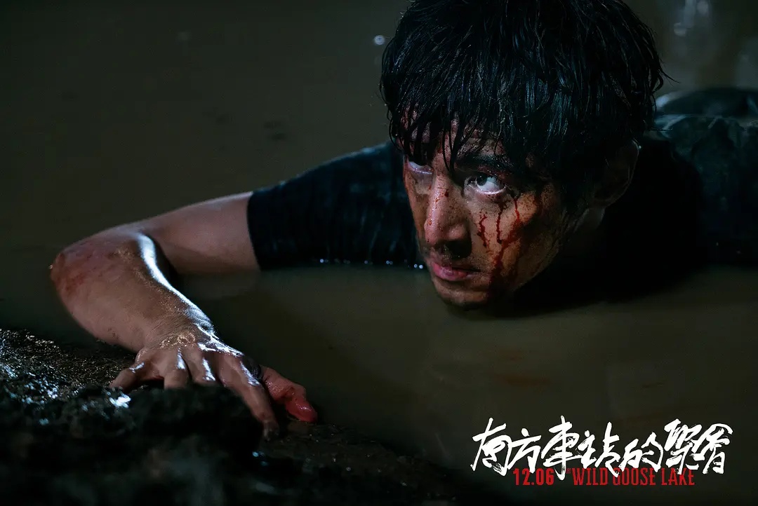 演员之外的“胡椒粉”胡歌，被花式催婚的最佳前任，撸猫不能自拔