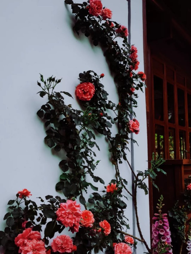 西湖风景区之郭庄,西湖郭庄景区