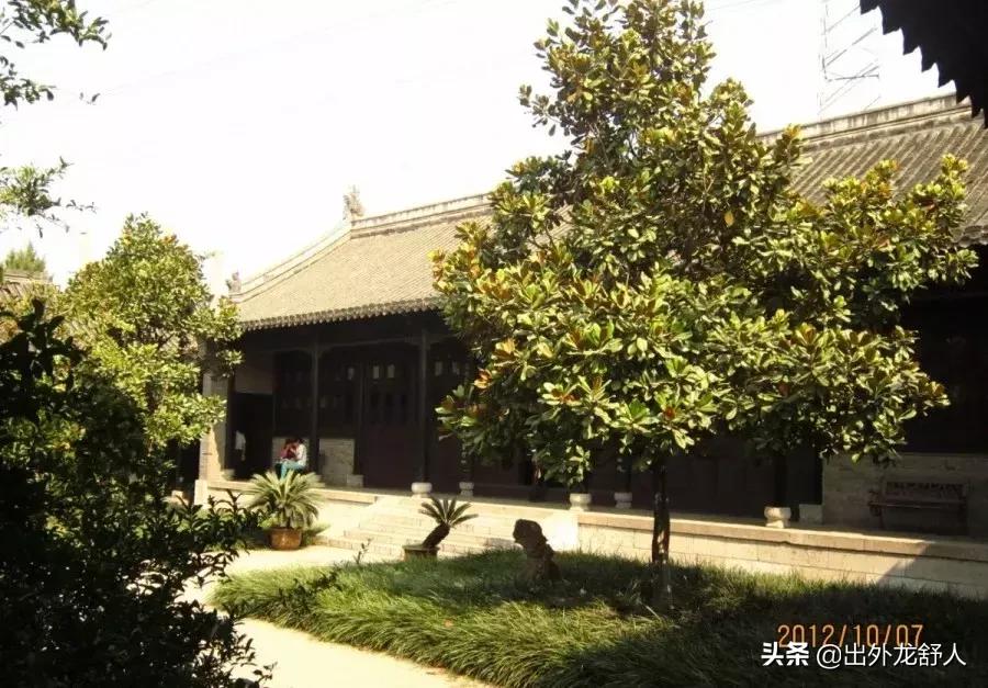 广玉兰是哪个城市的市花,广玉兰为什么会成为合肥的树