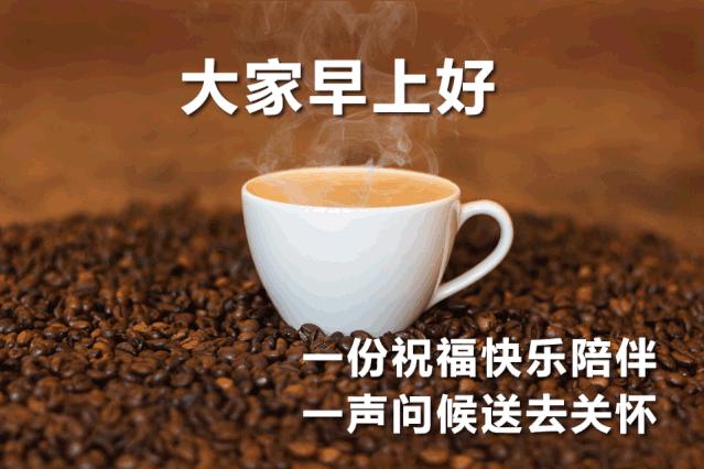 问好表情包｜我喜欢你，像日月轮流交替，不理朝夕