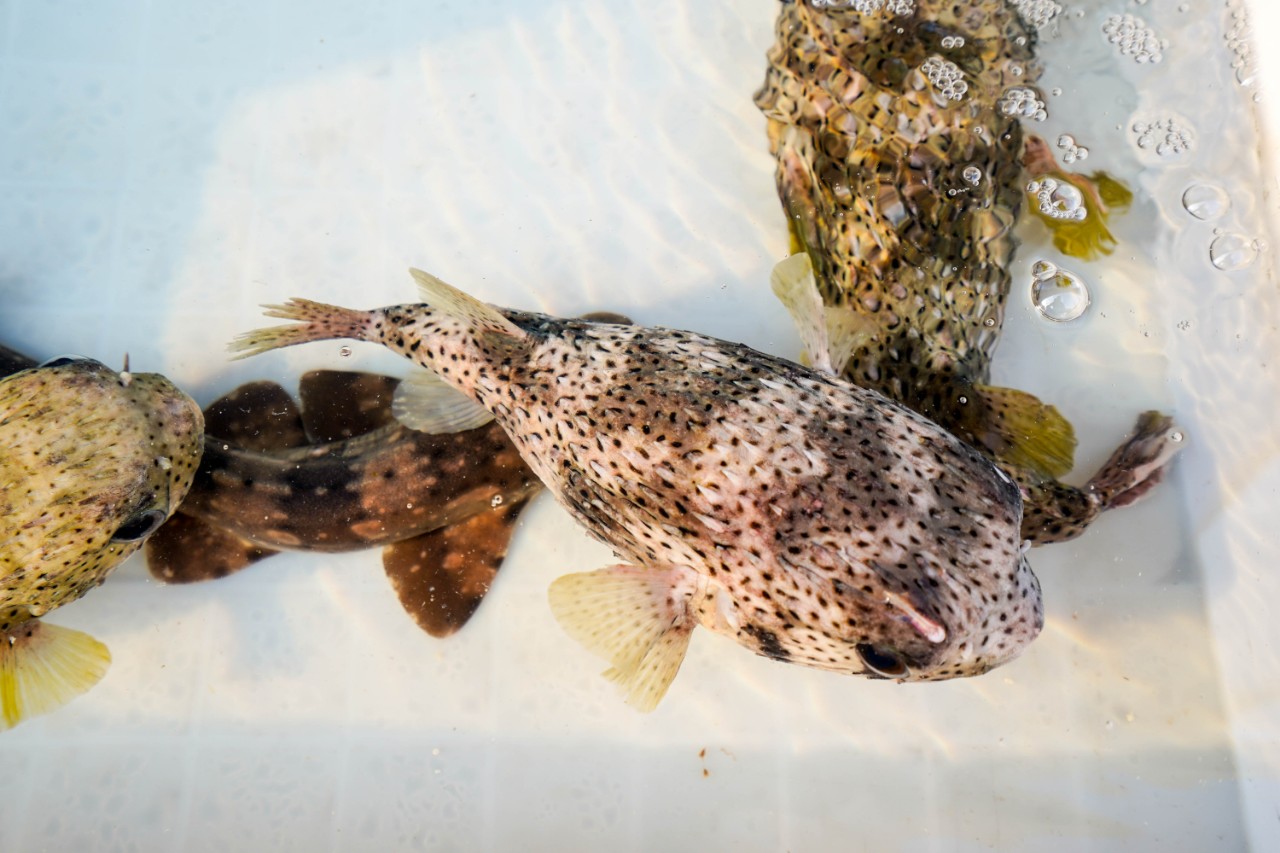 海南文昌温德姆酒店,文昌温德姆酒店排名