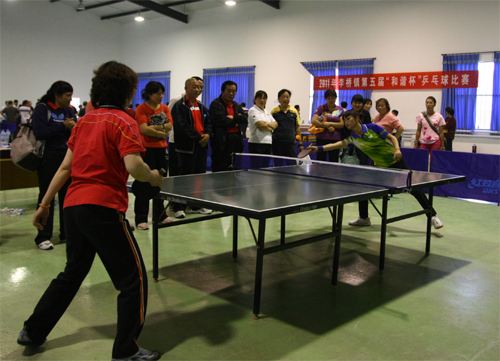 乒乓球初学者须知,乒乓球初学者建议几星拍子