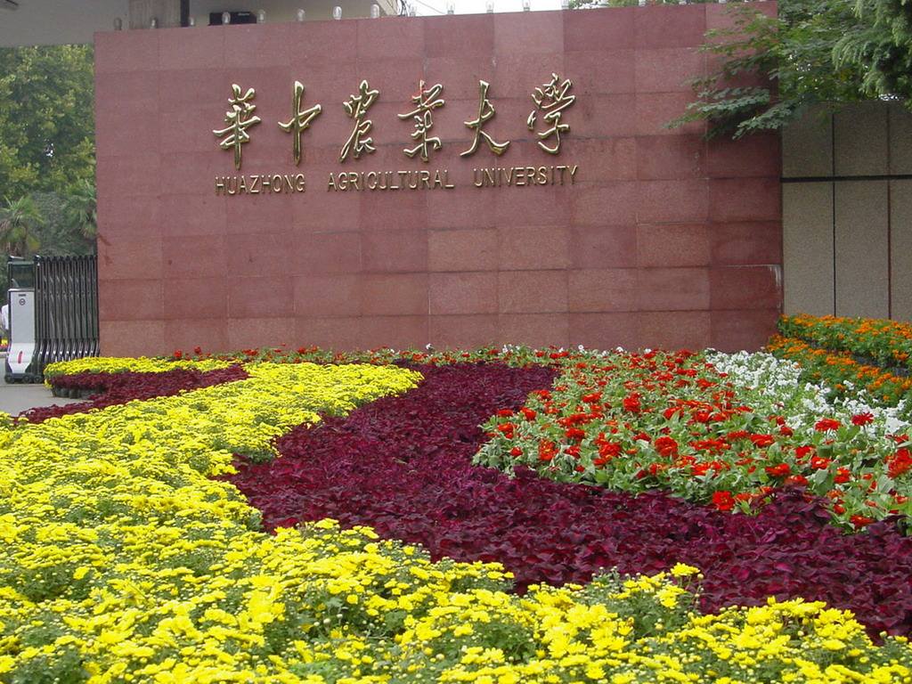 农学跨考歧视,农学硕士会被嘲笑吗