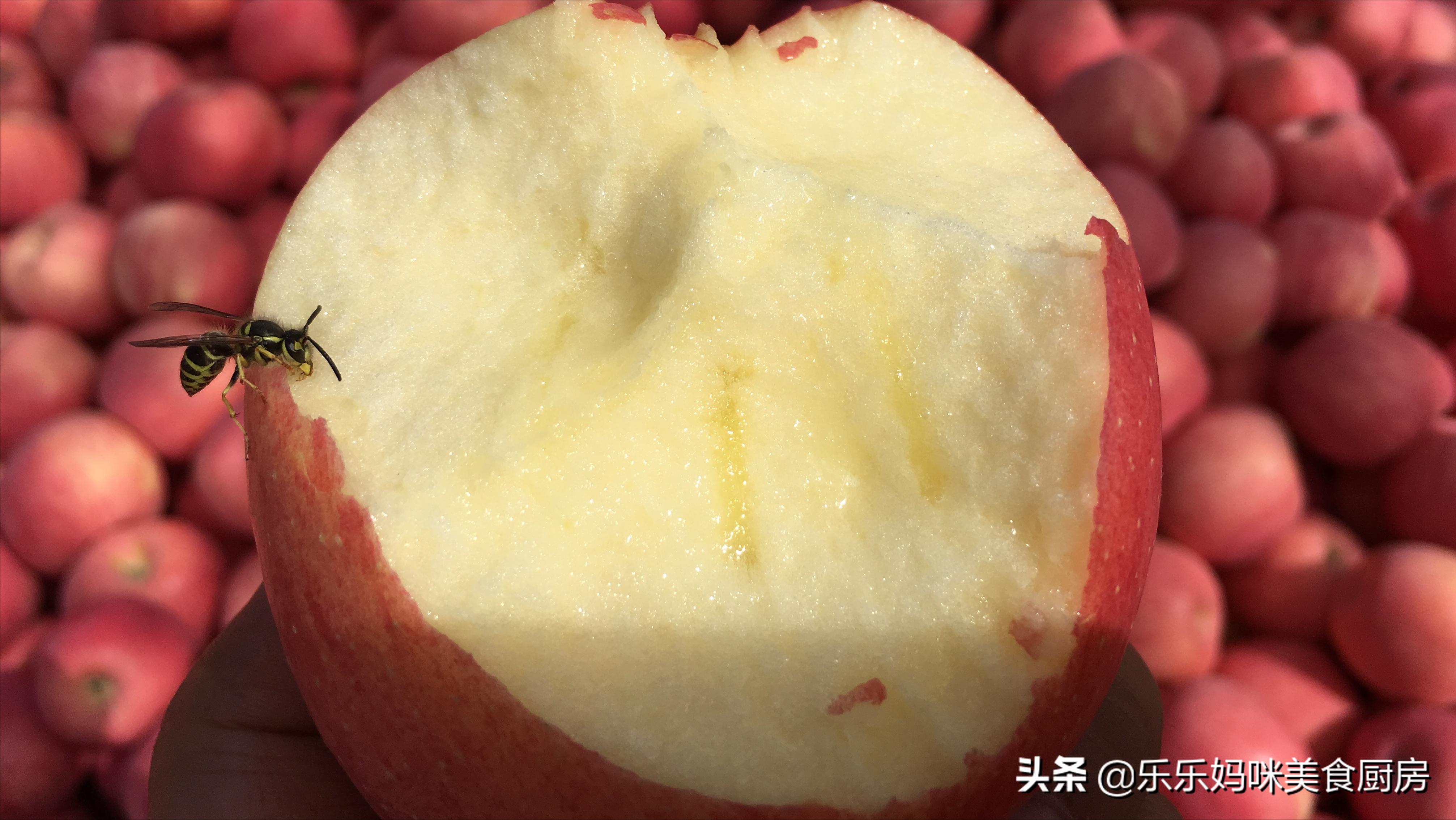 秋果吃多了会怎么样,常吃秋果有什么好处