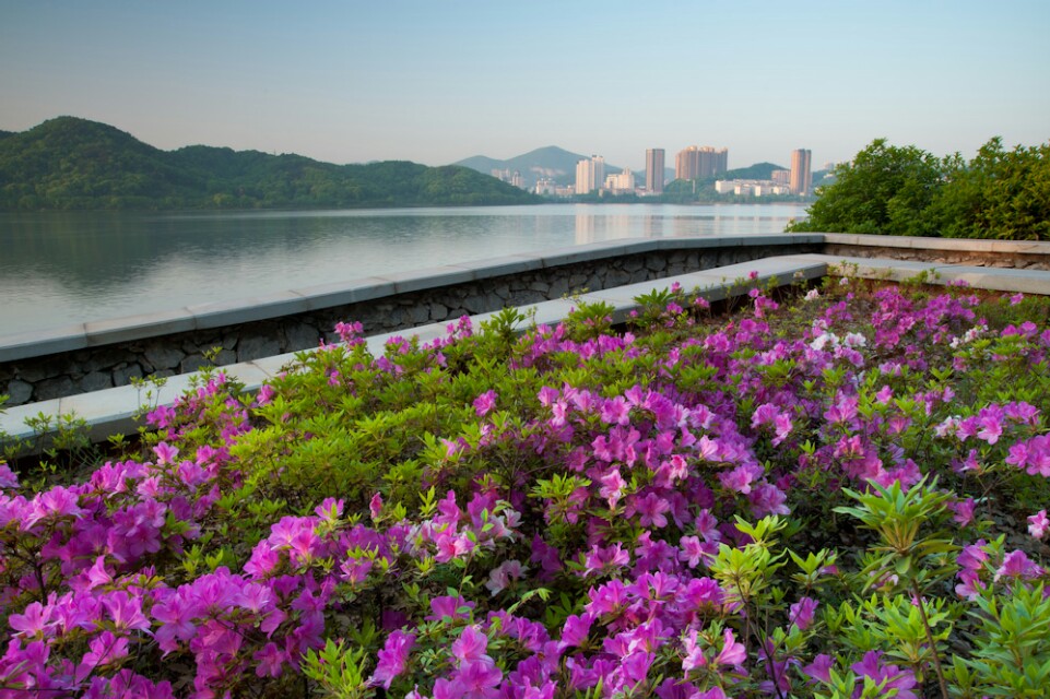 春天花儿开春意正香浓是什么意思,桃花朵朵开春意浓