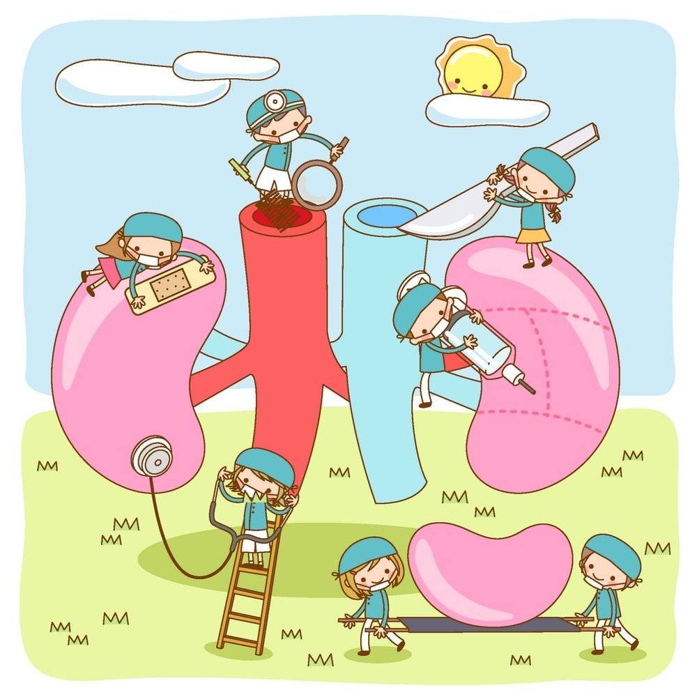 慢性肾炎能吃苯溴马隆降尿酸吗,服用苯溴马隆片对降尿酸效果如何