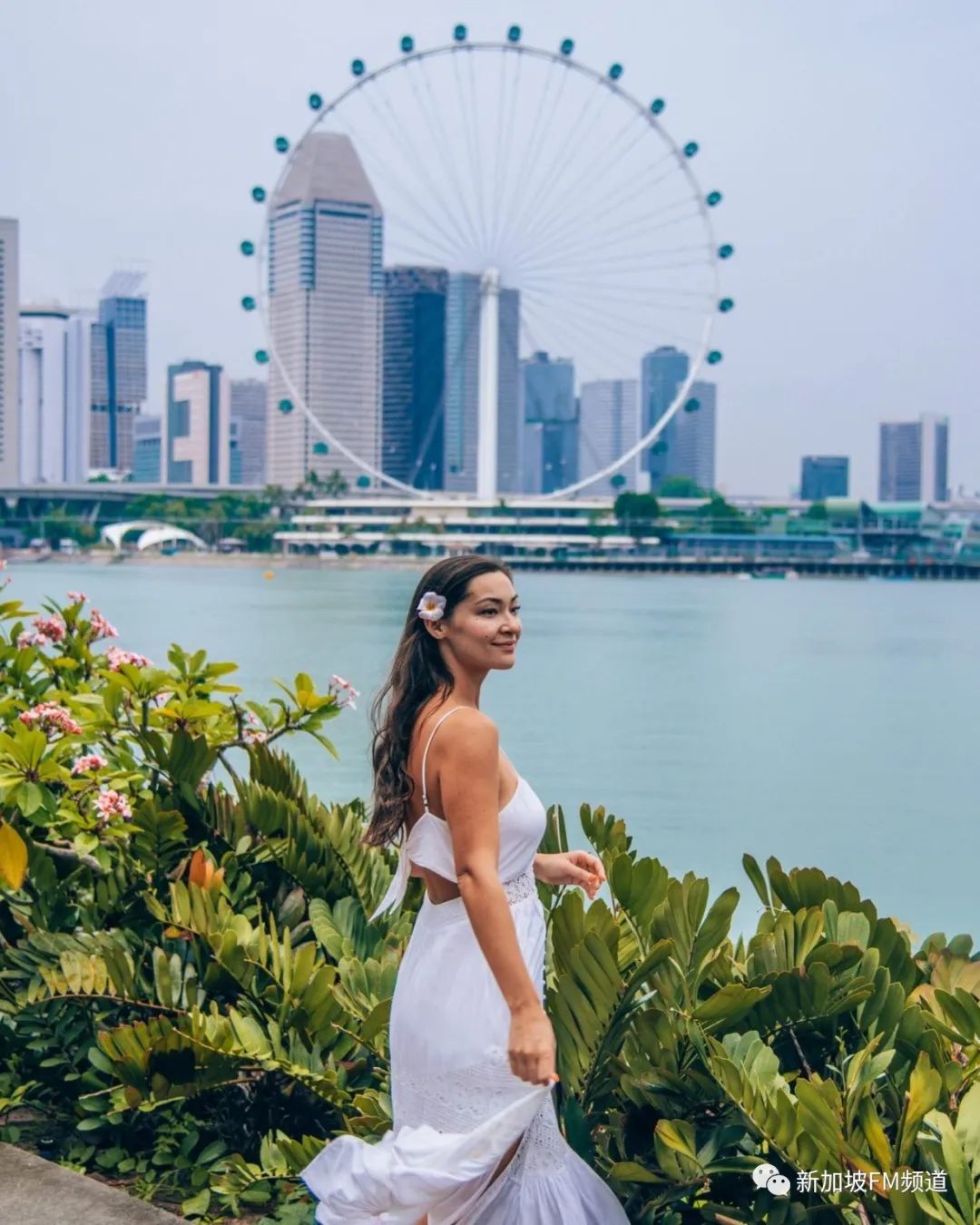 新加坡网红拍照店,新加坡网红点如何拍照