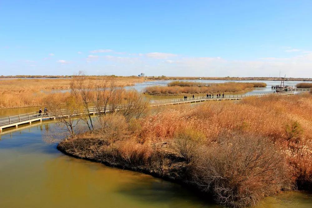 价值6亿的稀世珍宝,价值一个亿左右的稀世珍宝