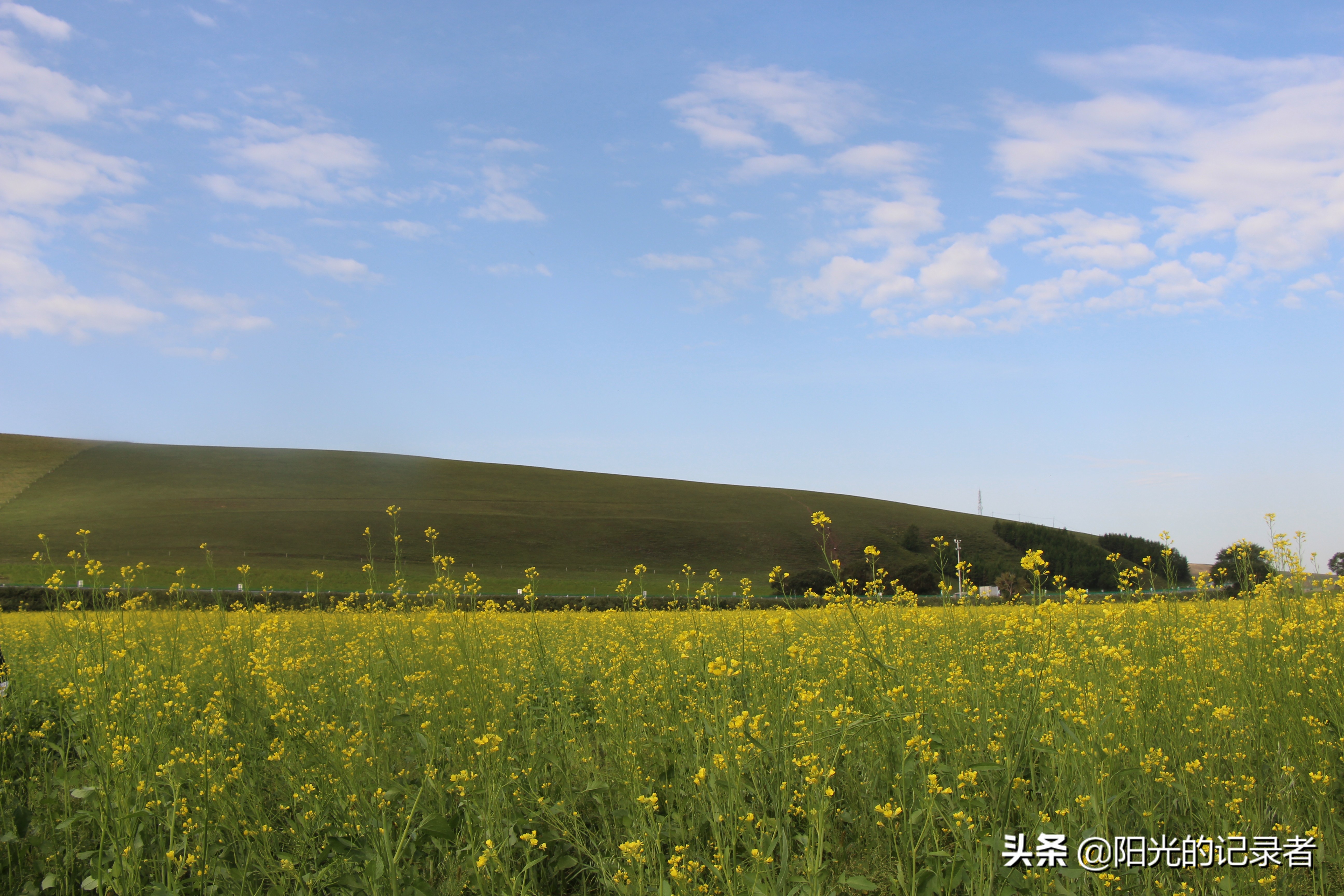 丰宁坝上草原哪几个免费景点必去,丰宁坝上景点冬天推荐