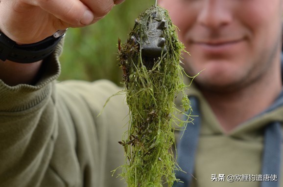 话说欧鲤钓最新消息,话说欧鲤钓鱼完整版