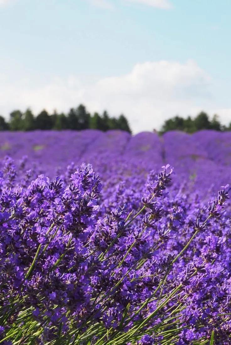 恬静乡村,摇滚乐调,古城烟雨……这里有你不知道的多面英伦