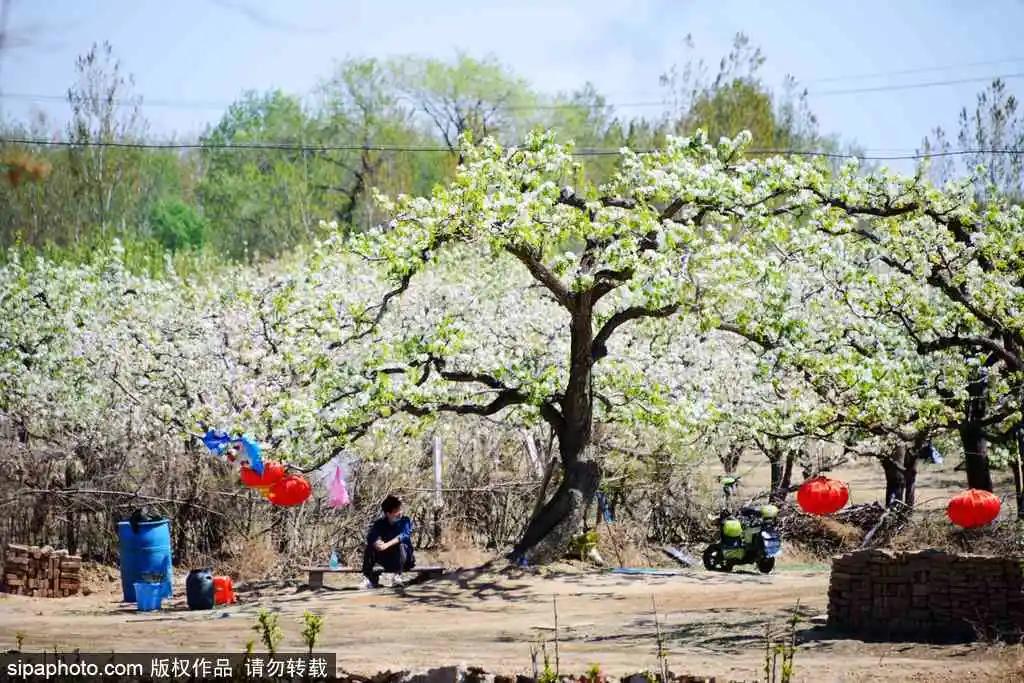 藏不住了!北京这些地方即将美出天际,你居然不知道?